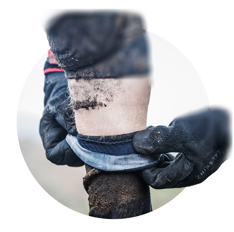 Chaussette Imperméable Verjari Ultra-Longues - Discover - 47-49